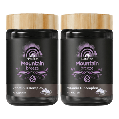 Vitamin-B-Komplex (90 Kapseln)