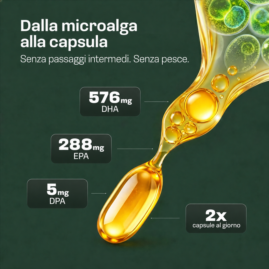 Capsule di olio di alghe Omega 3
