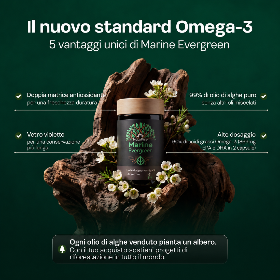 Capsule di olio di alghe Omega 3