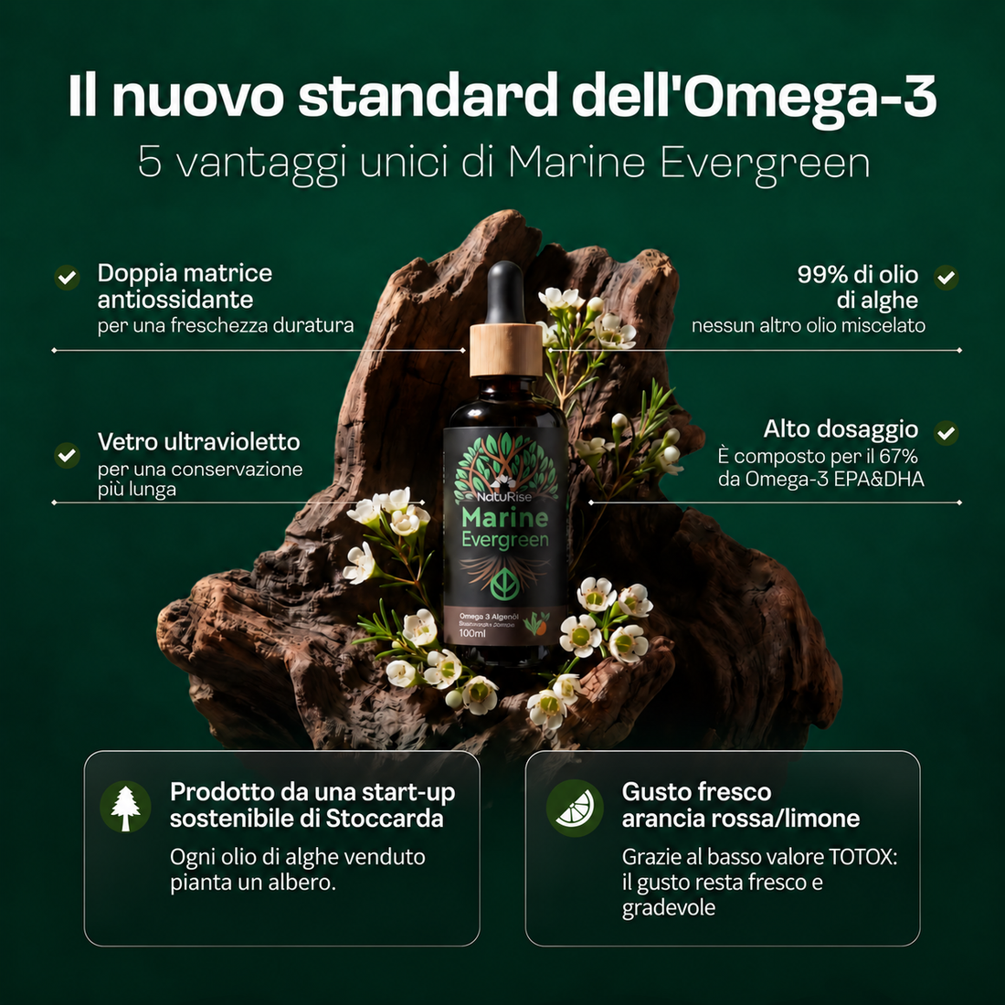 Omega 3 Algenöl