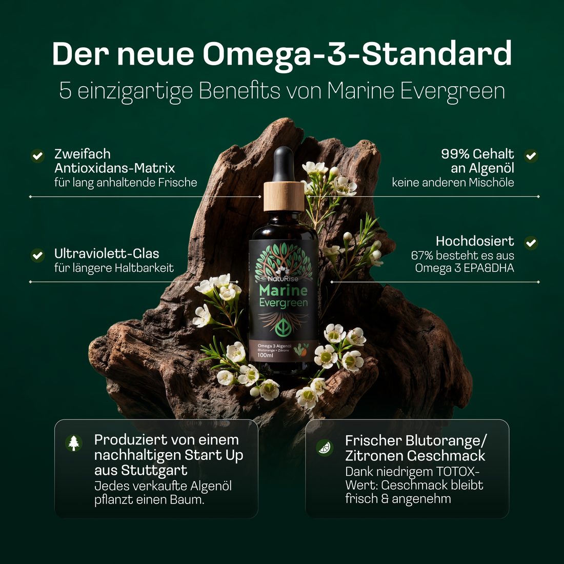 Omega 3 Algenöl – Produktinformation