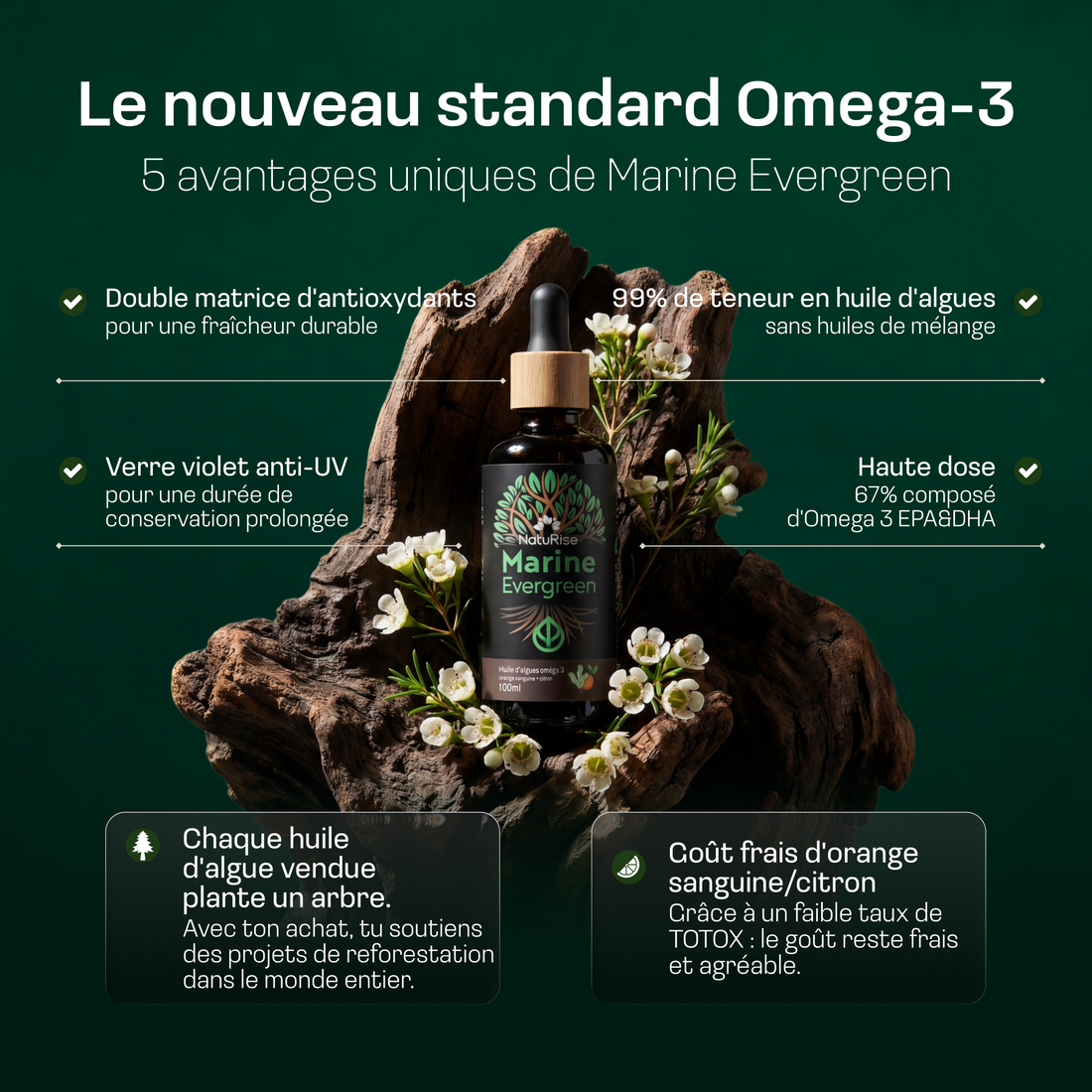Omega 3 Algenöl