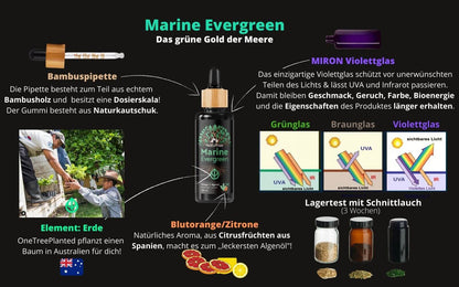 Omega 3 Algenöl (rabattiert)