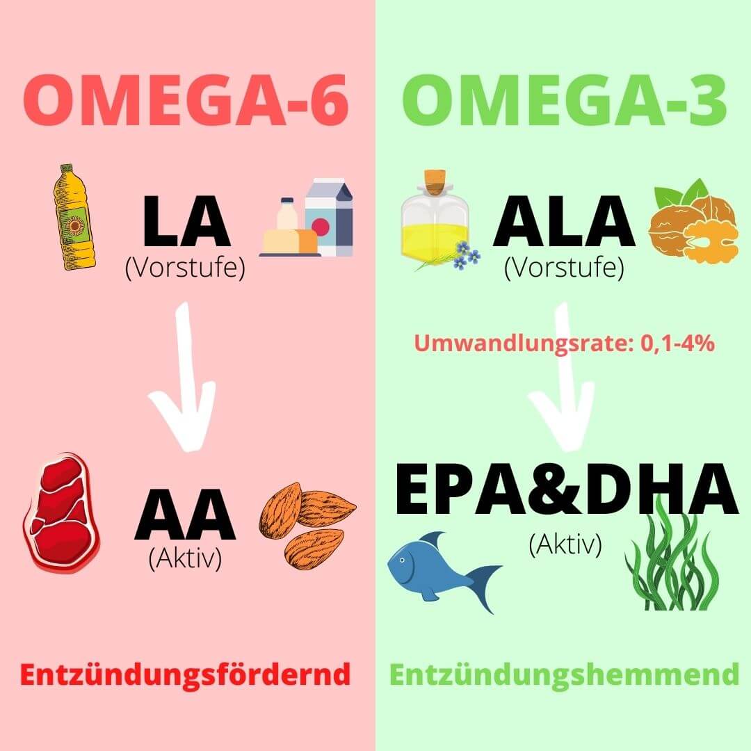 Omega 3 Algenöl (rabattiert)