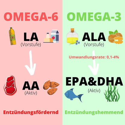 Omega 3 Algenöl (rabattiert)