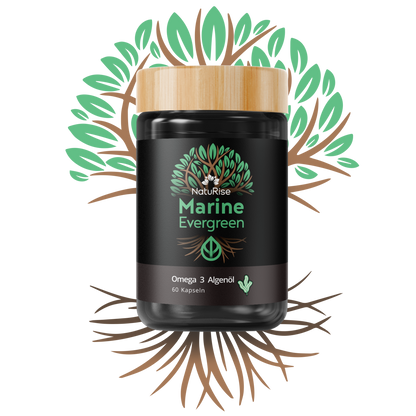Omega 3 Algenöl (rabattiert)