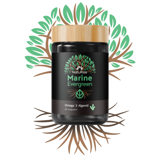 Omega 3 Algenöl (rabattiert)