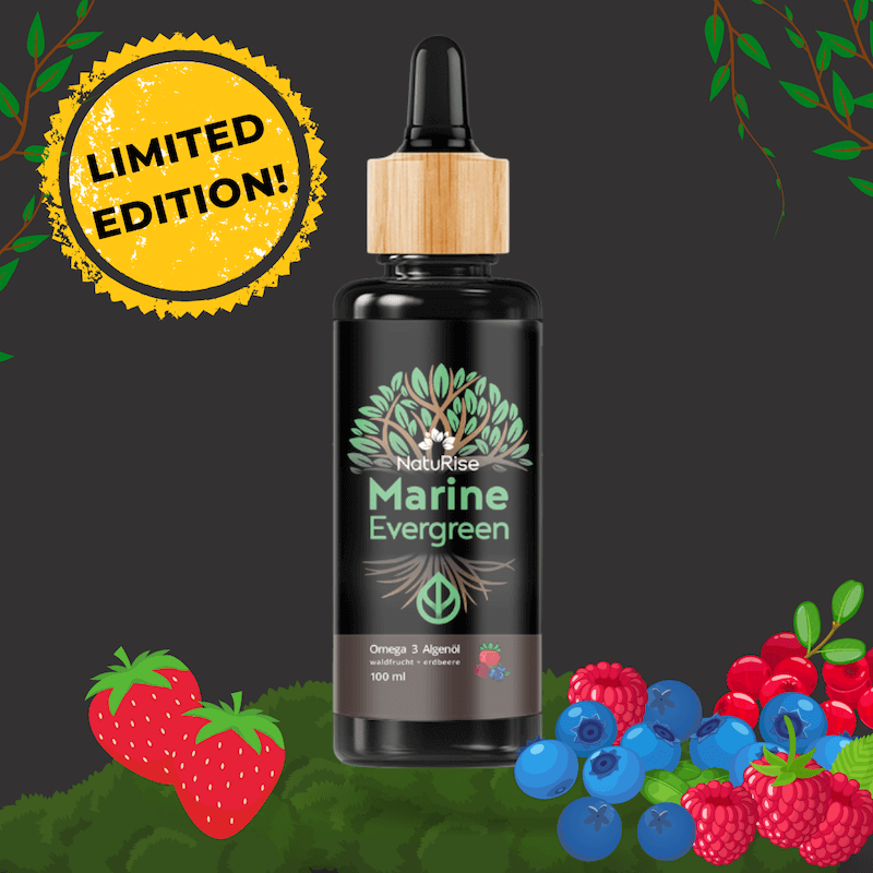 Omega 3 Algenöl (100ml)