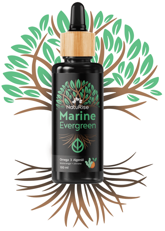 Omega-3 Algenöl (100ml)